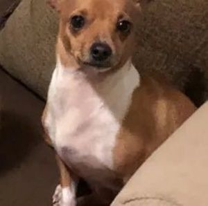 Meet your Posher, Debra